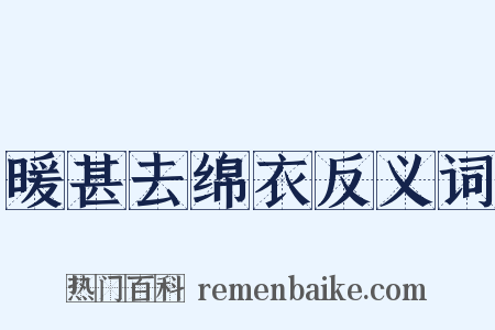 暖甚去绵衣反义词是什么意思的图片